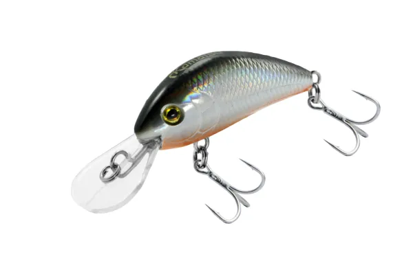 KAMATSU Shaky Shad 40F Red Belly