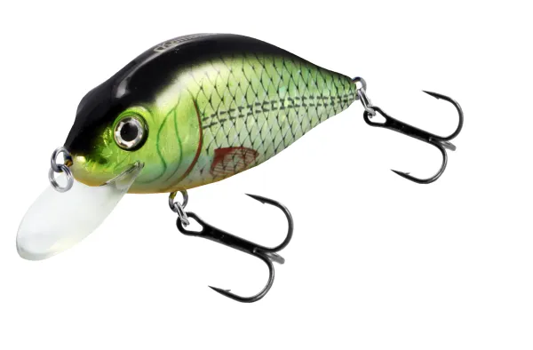 KAMATSU Flat Crank 90F Holo Tench