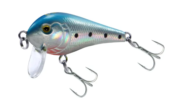 KAMATSU Shallow Shad 40F Spotted Blue