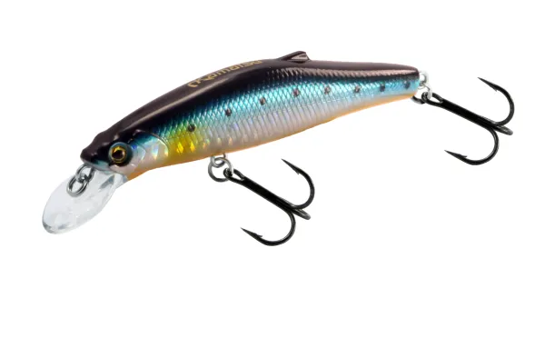 KAMATSU Quick Hunter Long Cast 80S Spotted Blue Ocean