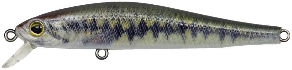 KAMATSU Sneaky Minnow 70N Roach