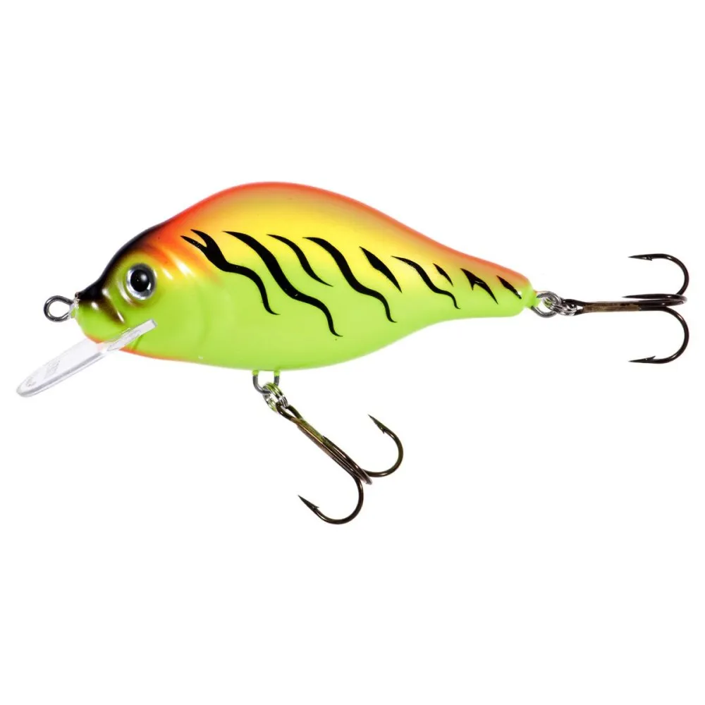 JAXON HOLO SELECT CARPAN LURES 7,0cm F TR