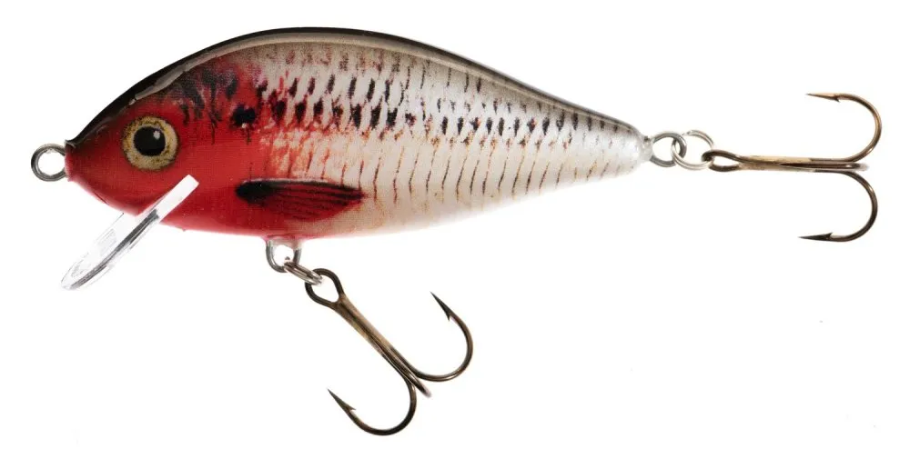 JAXON HOLO SELECT KARAŚ LURES 11,0cm F RB